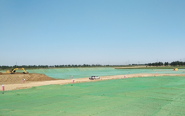 1558322625325707.jpg 1115.jpg