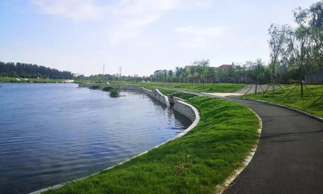 1609201179491637.jpg 1609201179491637.jpg